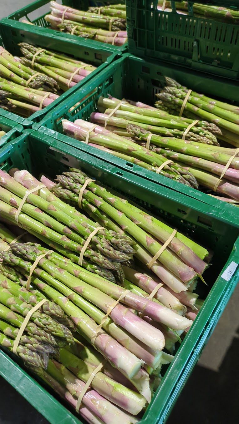 Domaine des Hêtres: Belgische wijn &amp; asperges Goffin