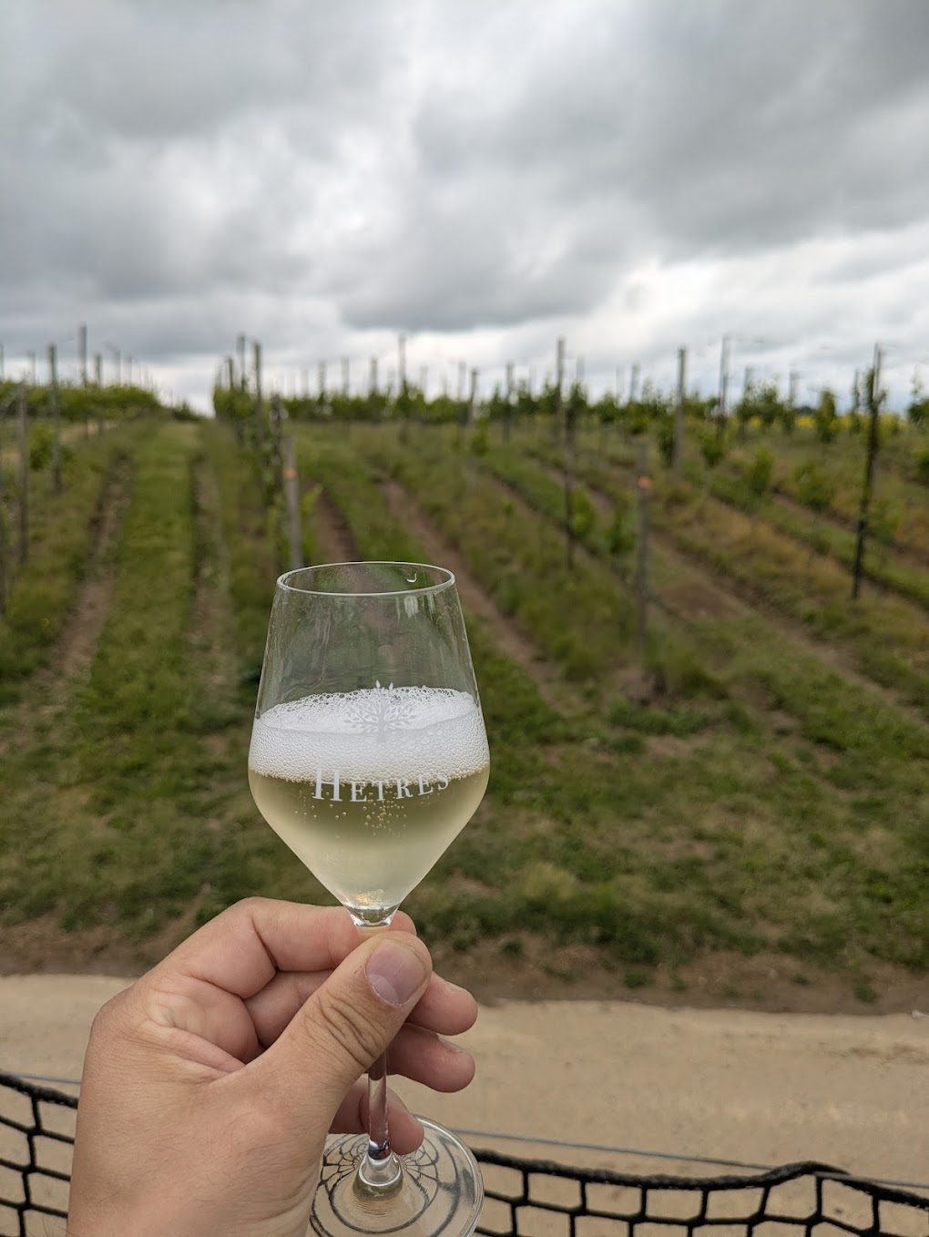 Domaine des Hêtres : vins belges et asperges Goffin